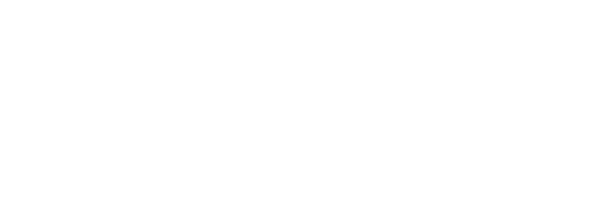 Bold Solutions